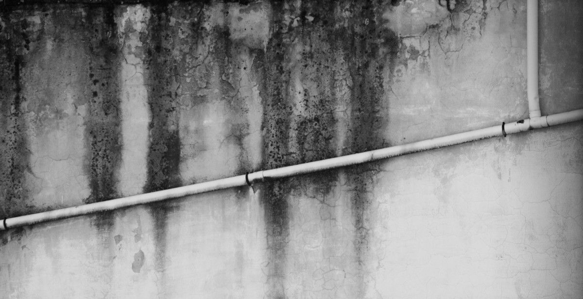 Leica_R048.jpg