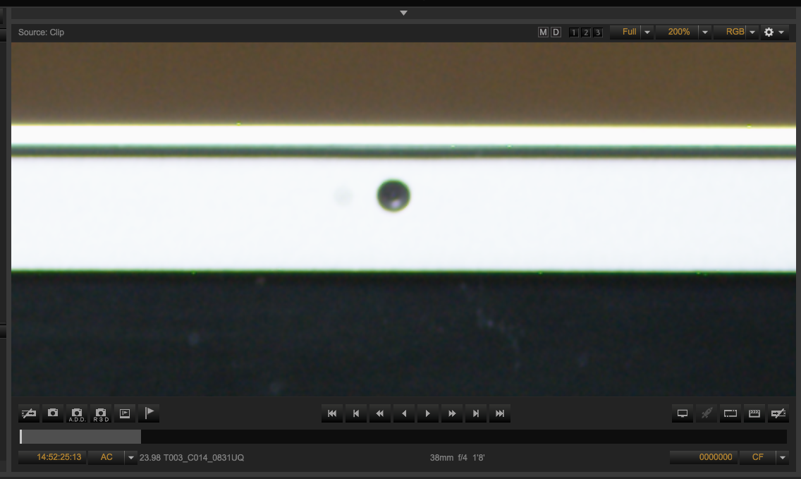 dots24FPS.png