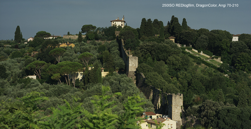 firenze001.jpg