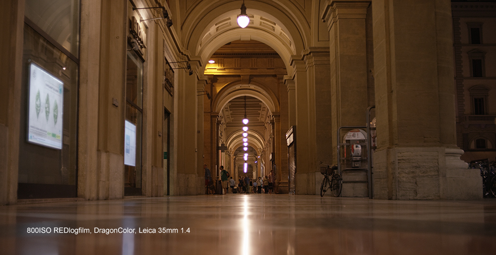firenze013.jpg